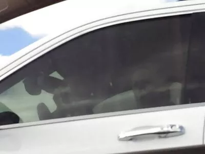 Schoonheid met boezem gratis sex films kijken Bunny Colby wordt diep in de ballen werken
